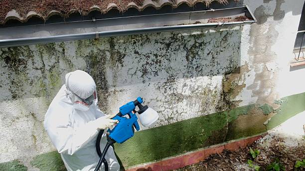 Top rated local Attic Mold Remediation specialists in Decatur, TX